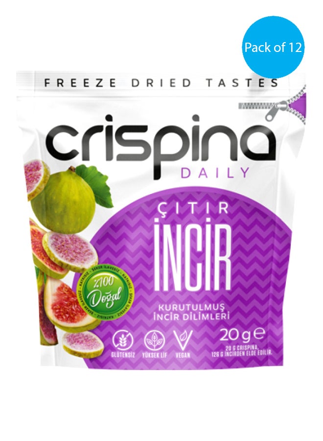 Crispina daily Crispy Corn Dried Corn Slices 20g (1x12)