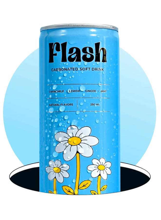 Flash DrinkLemon Ginger Mint ml