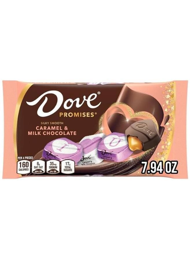 Dove Milk Chocolate Caramel Display Ready Case Valentine's Day Each, 24 Count,