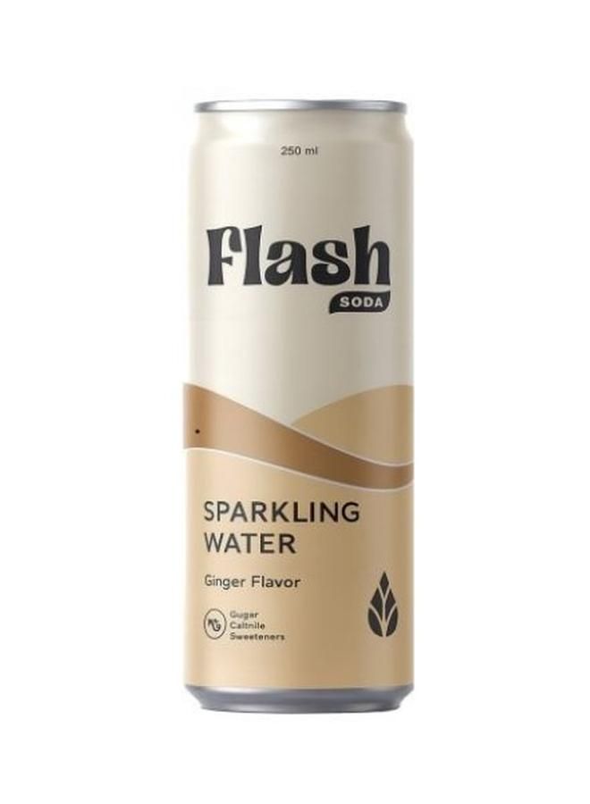 Flash Soda Sparkling Water Ginger Flavor 250ml