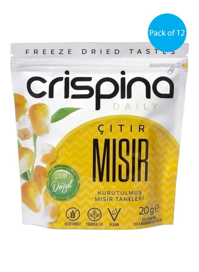 Crispina Daily Crispy Fig Dried Fig Slices 20g (1x12)